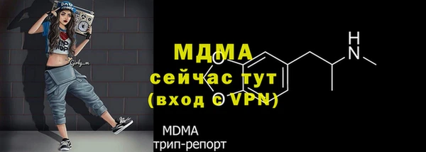 спиды Новодвинск