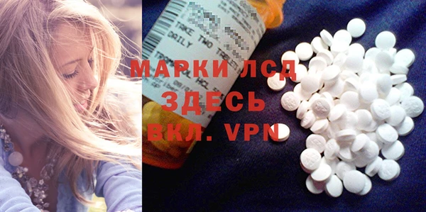 спиды Новодвинск