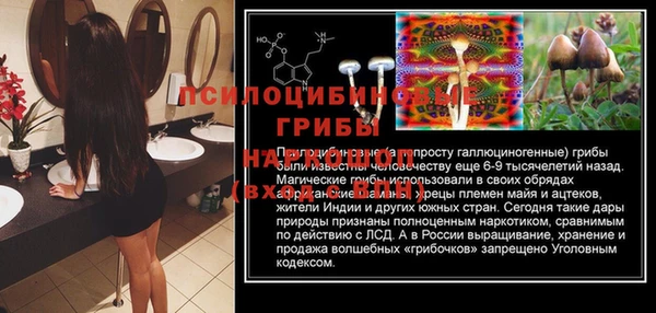 прущие крисы Новокубанск