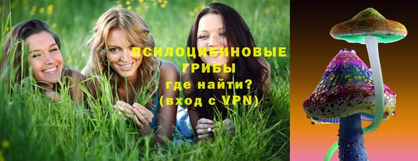 прущие крисы Новокубанск