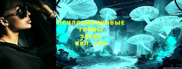 ГАЛЛЮЦИНОГЕННЫЕ ГРИБЫ Нея