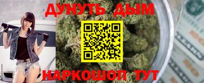 гидра Гатчина