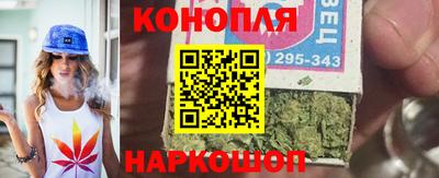 гидра Гатчина