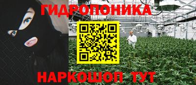 эйфоретик Гай