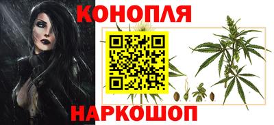 эйфоретик Гай