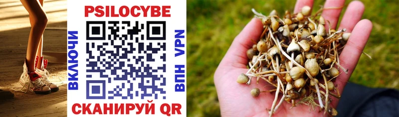 Псилоцибиновые грибы мухоморы  Избербаш 
