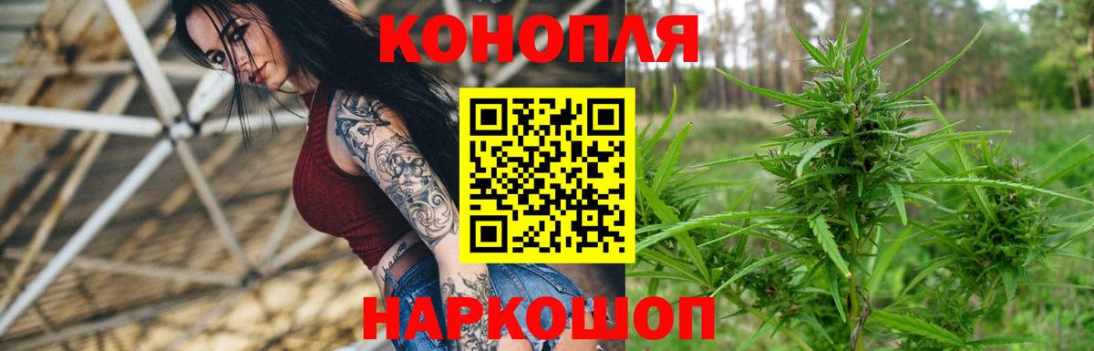 Марихуана сатива  Избербаш  Марихуана White Widow  Каннабис марихуана  Бошки Шишки индика 